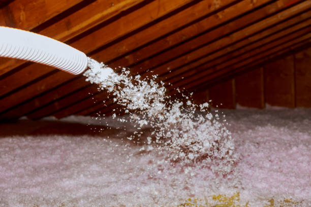 Best Blown-in Insulation in Richwood, TX