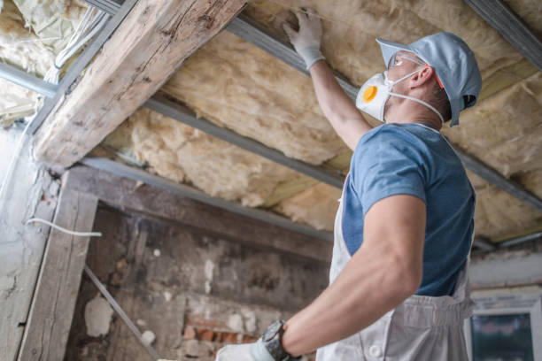Best Fiberglass Insulation in Richwood, TX
